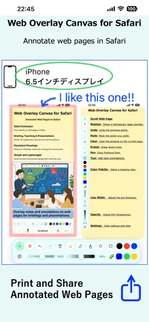 Web Overlay Canvas for Safari screenshot 2