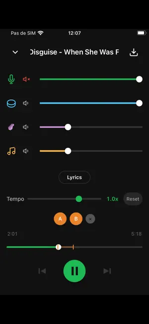 Split It Music screenshot 2
