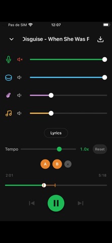 Split It Music Screenshot 2 of 4