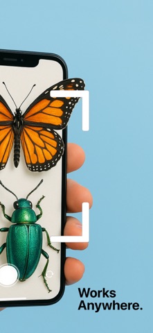 Insect ID: Bugs Identifier AI screenshot