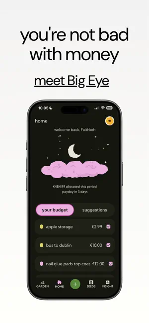 Big Eye – paycheck budgeting screenshot 1