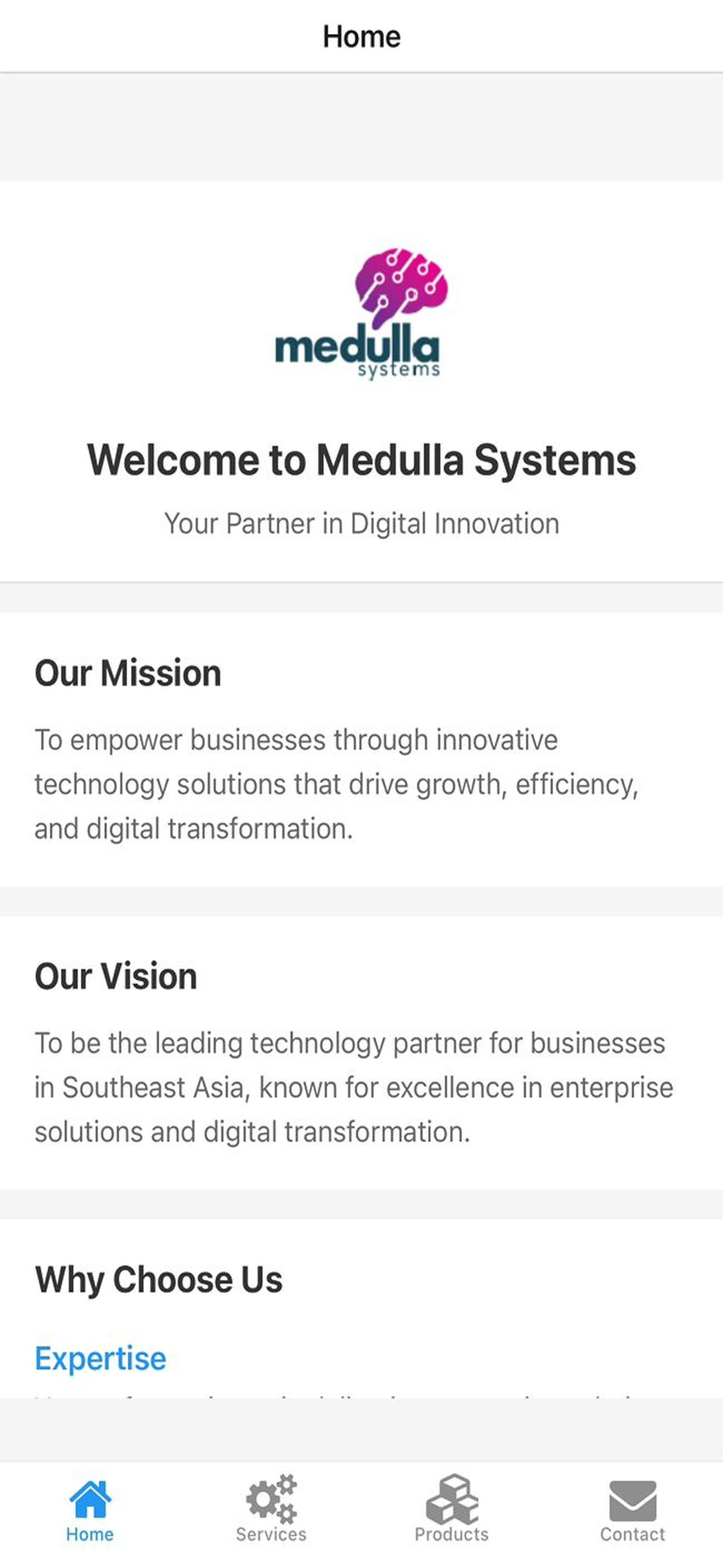 Medulla Systems screenshot 4