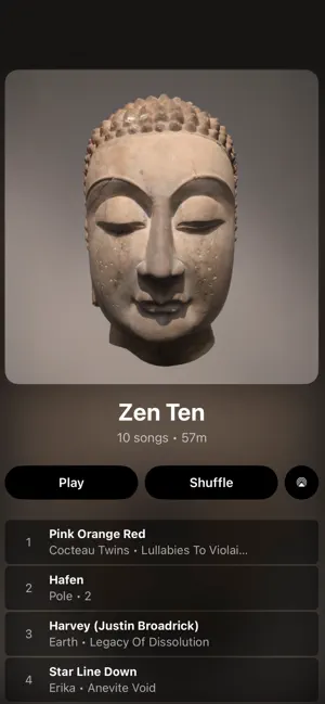Spite Music Player screenshot 4