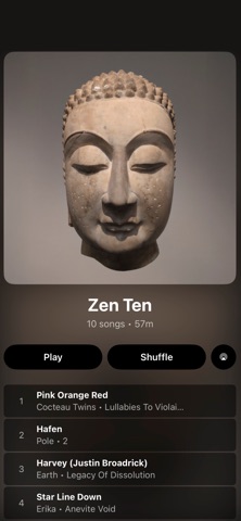 Spite Music Player Screenshot 4 of 6