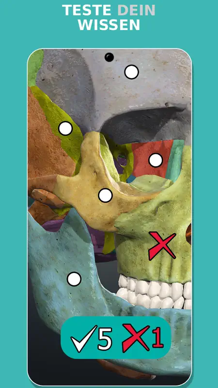 Anatomy Learning - 3D Atlas screenshot 5 of 7