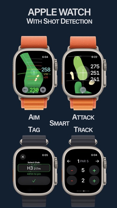 bebrassie: Golf Game Tracking Screenshot