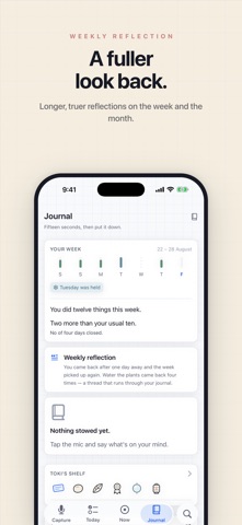 Stowe: Voice Daily Planner iPhone screenshot