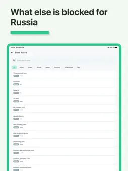Block Checker: RKN Directory screenshot 9