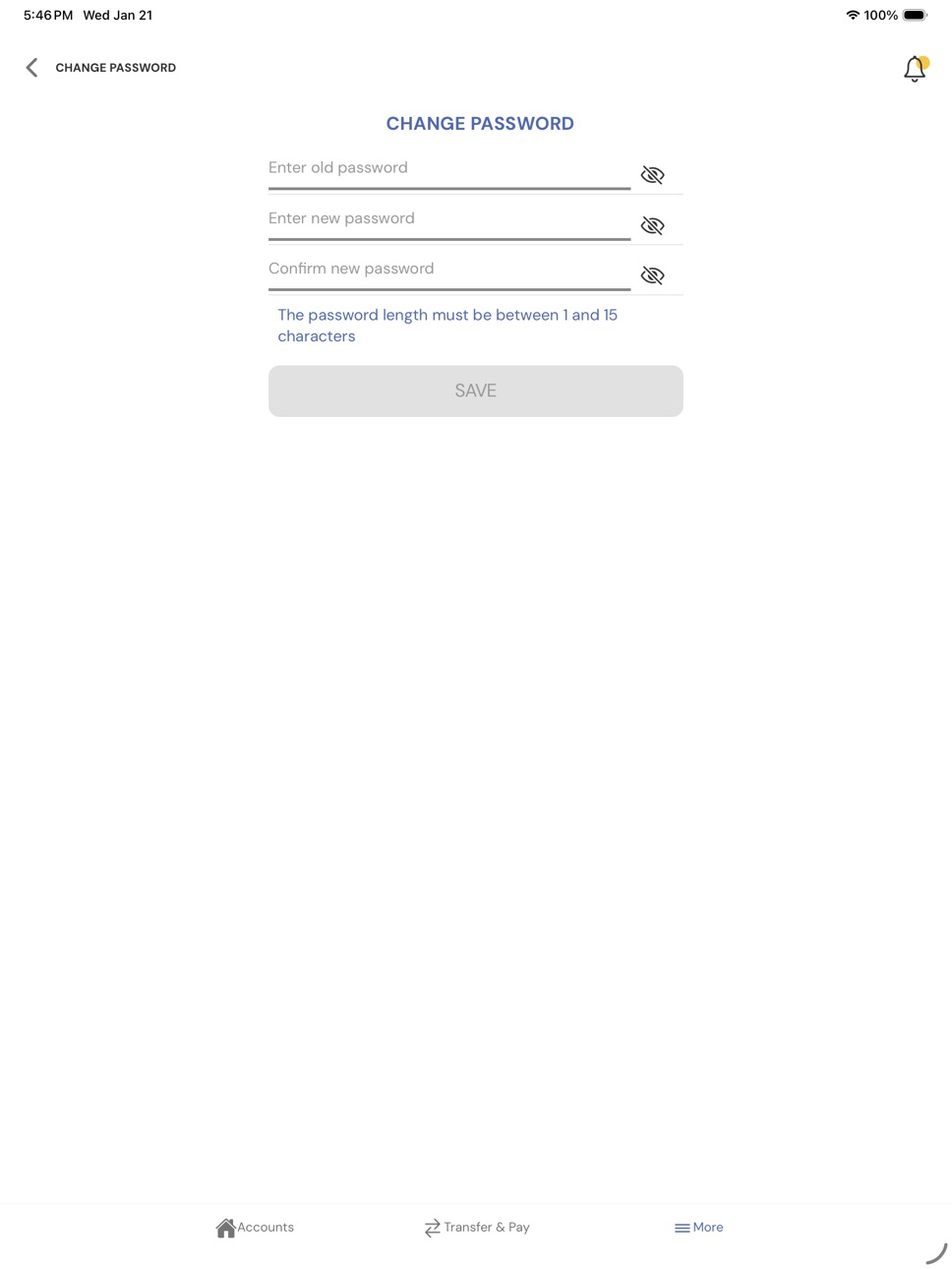 iPad screenshot