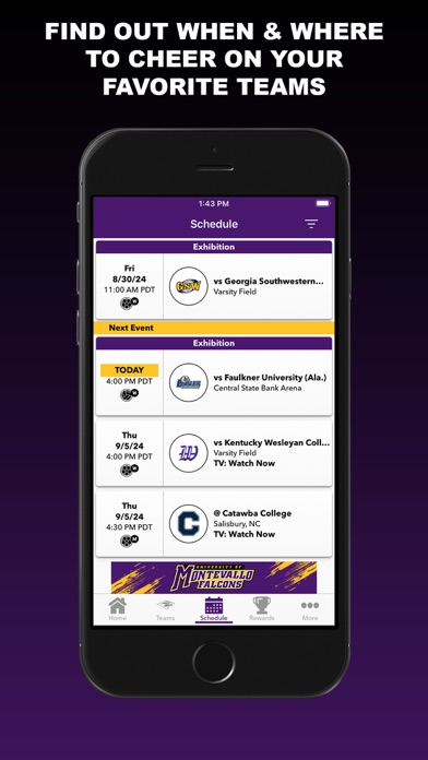 Montevallo Falcons Screenshot