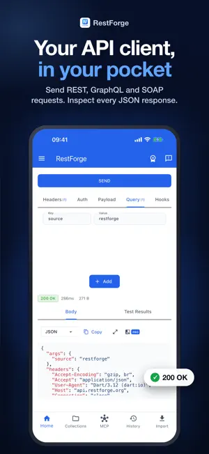 RestForge - API Client screenshot 1