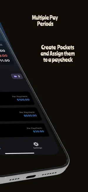 Pocket it: Budget screenshot 2