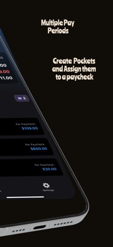 Pocket it: Budget Screenshot 2 of 4