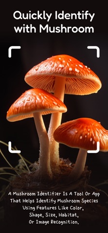 Mushroom Identify Screenshot 1 of 6