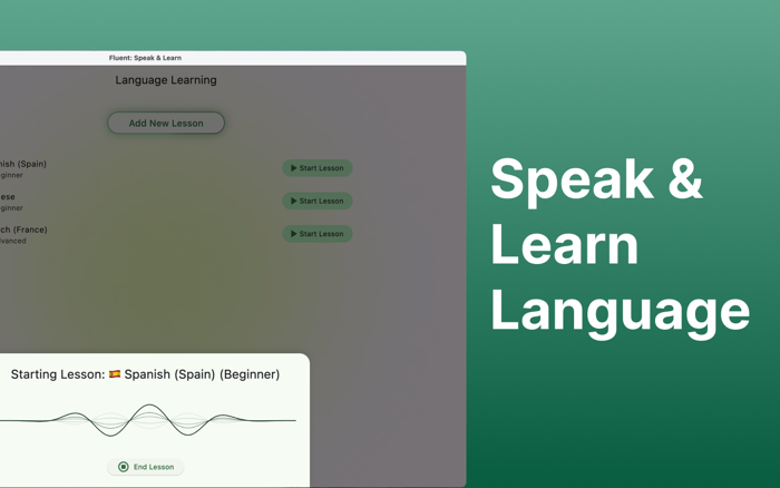 Fluent Speak  Learn Language