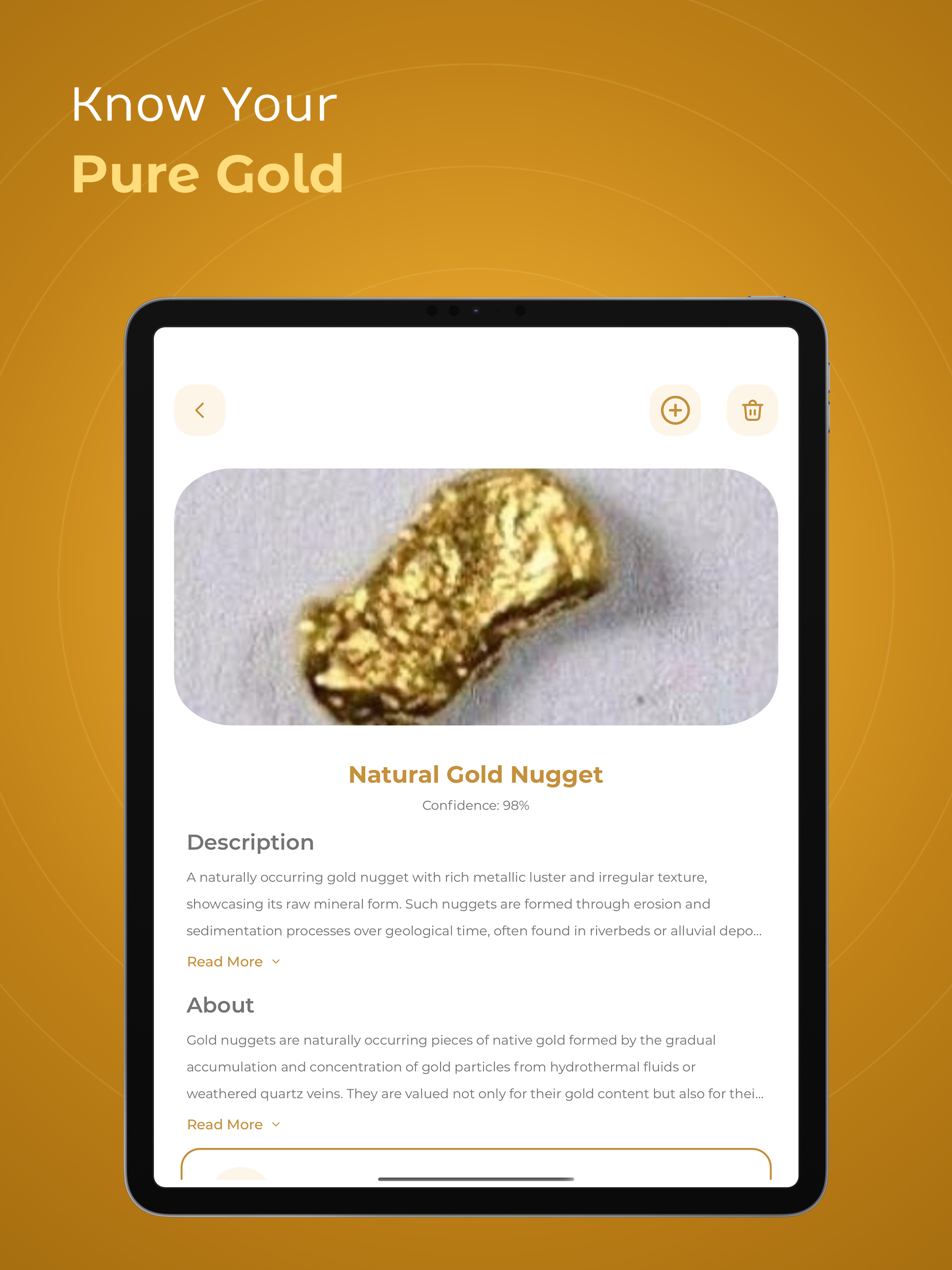 Gold Identifier screenshot 11