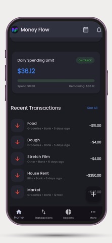 MoneyFlow : Daily Spending Screenshot 10 of 10