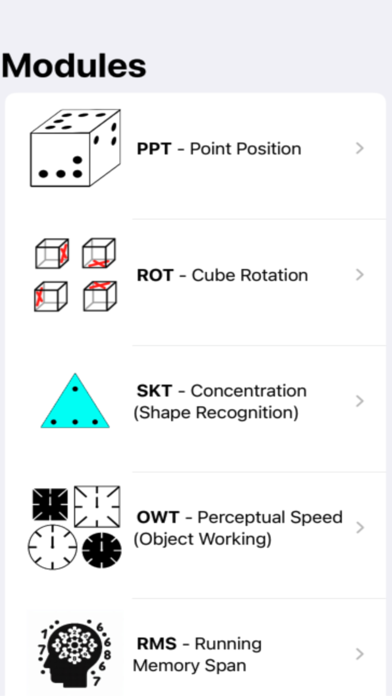 PilotPass Psychometric Test Screenshot