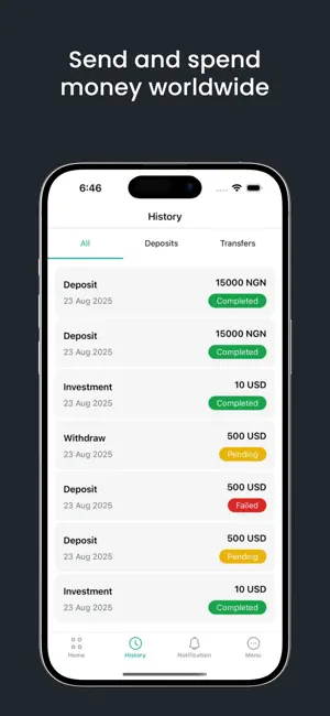 Lois Finance screenshot 2