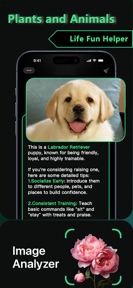 SnapSeek - AI Search Assistant screenshot