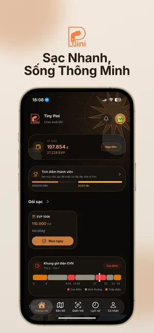 Pini - Trạm sạc xe điện screenshot 1