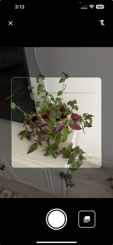 Baxcha Screenshot 2 of 7