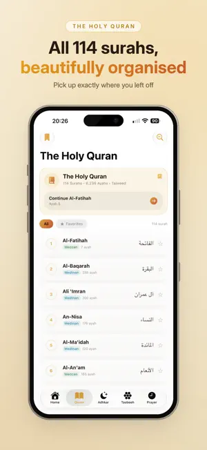 QURAN IQ screenshot 4