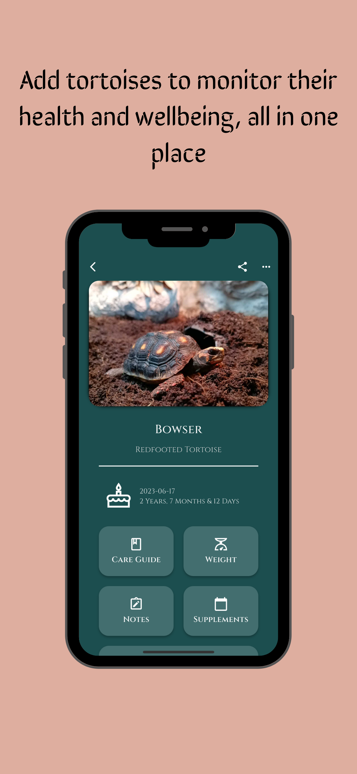 Tortoise Care Tool