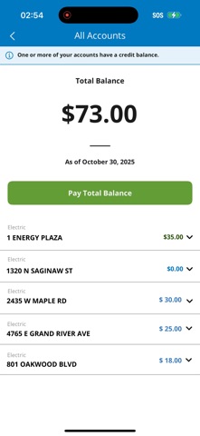 Consumers Energy Screenshot 5 of 10