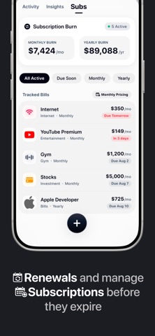 Brief: Expense Tracker iPhone screenshot