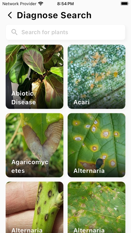 EverGreen Doctor for Garden