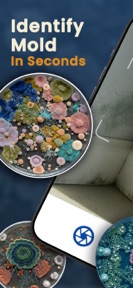 Mold Identifier: AI Fungus ID screenshot