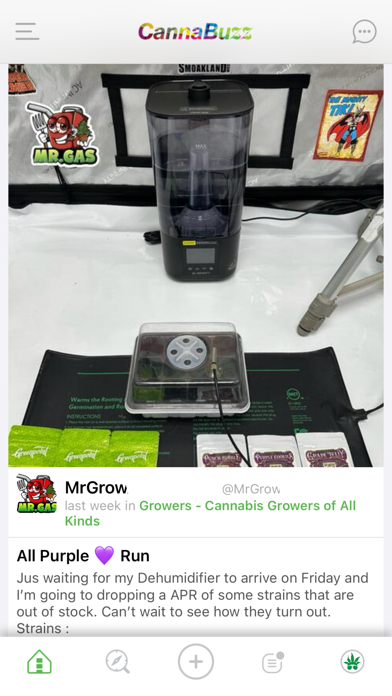 CannaBuzz - Cannabis Social Screenshot
