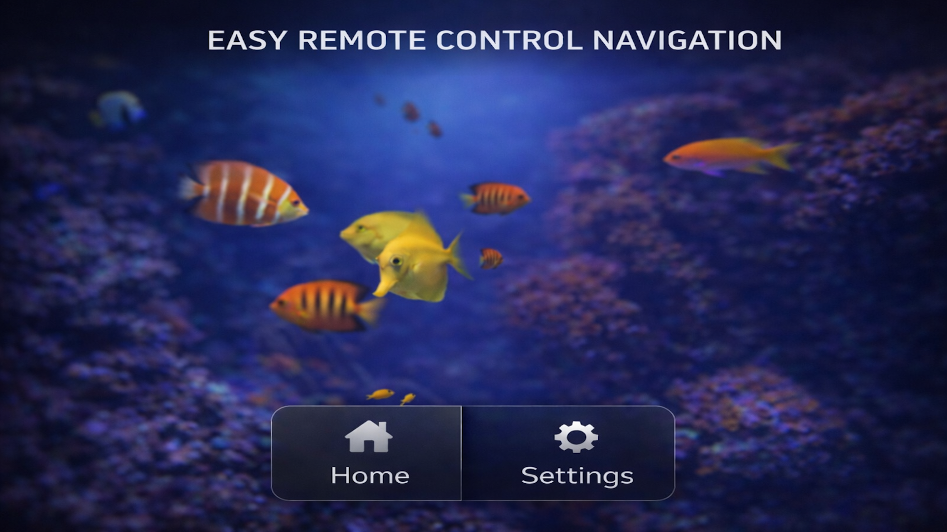 Living Aquarium TV 4K screenshot 5