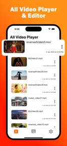 Visha:Video Player All Formats screenshot