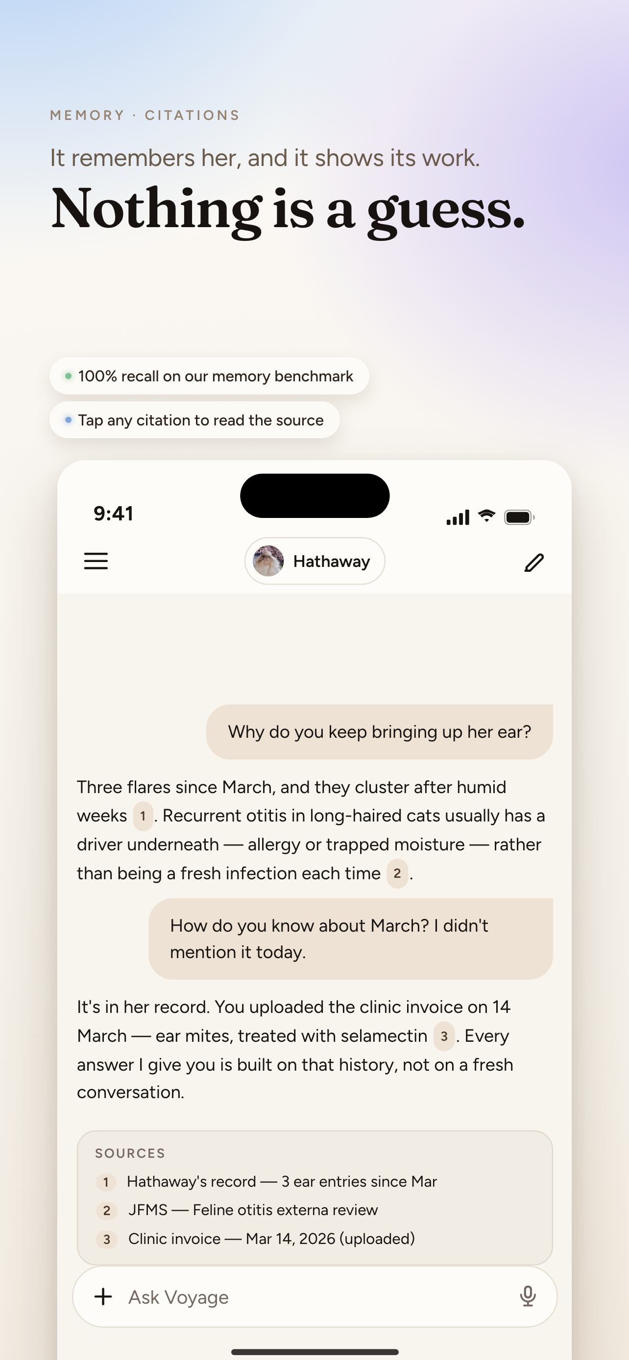 Voyage: AI Vet for Dogs & Cats screenshot 7