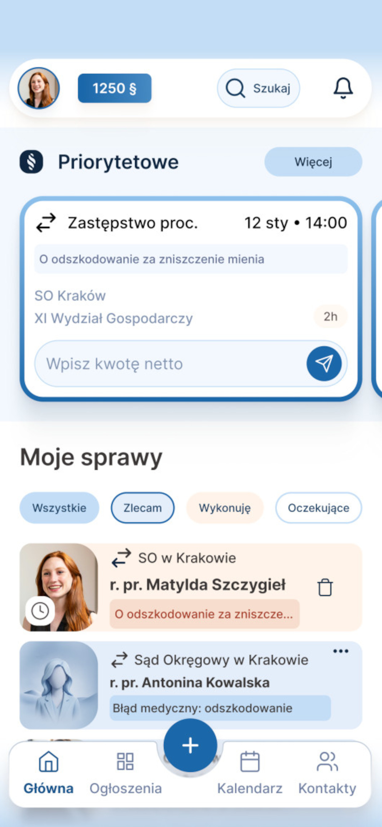 Substitia - dla prawników screenshot 4