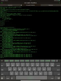 UDevice - Dev Assistant iPad image 2