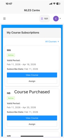 MELS AI Tutor screenshot