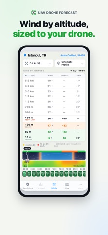 UAV Drone Forecast screenshot