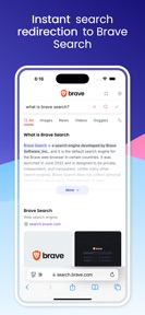 Braver Search screenshot