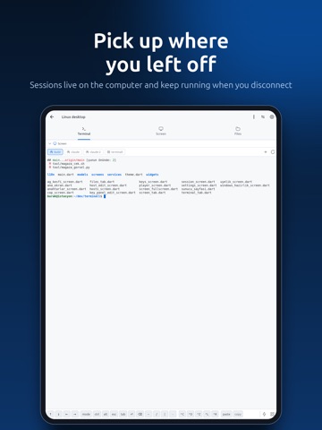 terminALL: SSH Remote Desktop iPad screenshot 4