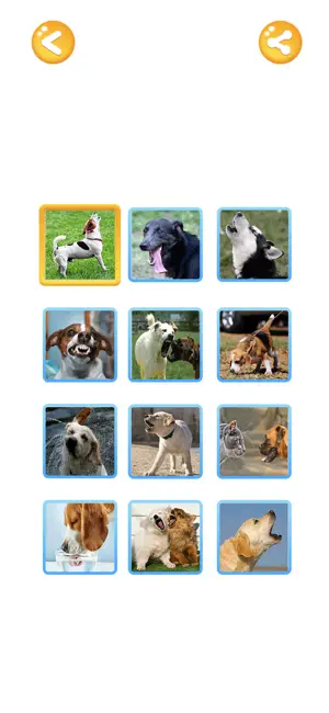 Human to Dog Translator 2025 screenshot 4