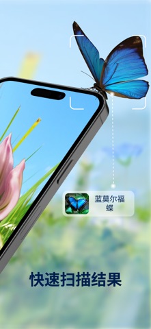 虫类识别器: Insect ID screenshot