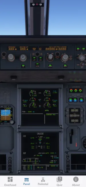A320 Lights and Switches screenshot 4
