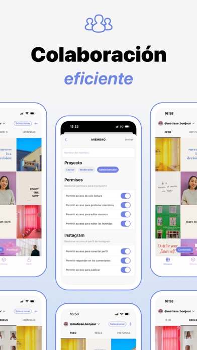 Content Office: Feed para IG