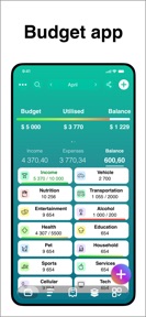 Budget: Money manager app screenshot