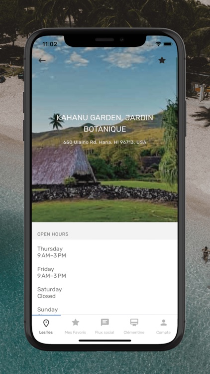 Clémentine In Hawaii