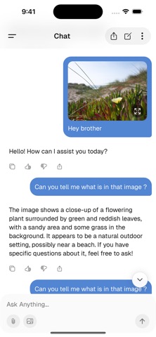 Abroad AI Screenshot 3 of 5
