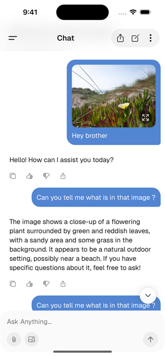 Abroad AI Screenshot 3 of 5